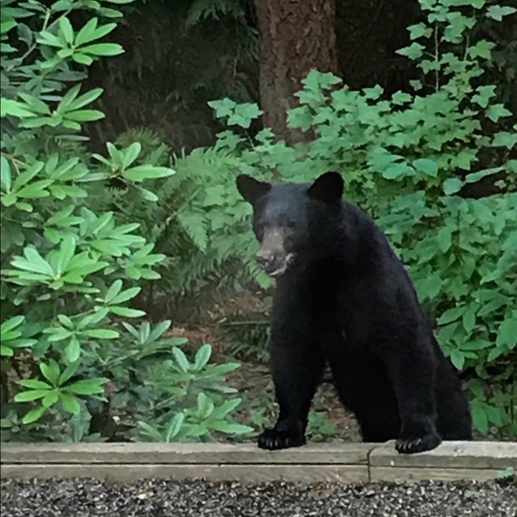 Meet Your Posher - Picture 3 of 6